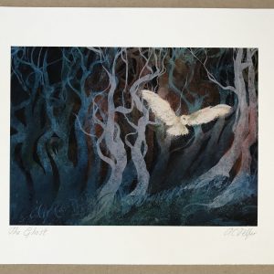 A4+ Prints